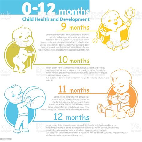 Baby Growing Up Infographic Stock Illustration Download Image Now
