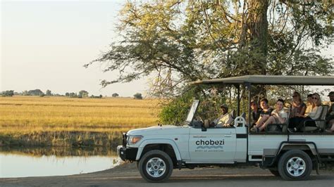 2 night chobe national park safari package all inclusive chobe safari