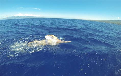 Home Big Blue Swimming