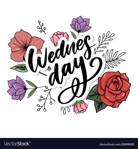 Wednesday Words Quote Design Hand Drawn Ink Vector Image