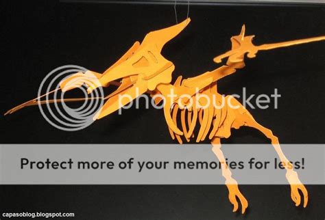 Papermau Decorative Pterodactyl Skeleton Puzzle Papercraft By Capaso