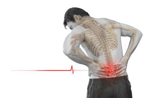 Lower Back Pain Causes 9 Common Things That You Should Know