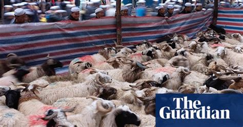 Eid Al Adha Around The World In Pictures World News The Guardian