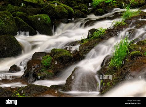 Waterfalls And Rapids On Bilston Creek In Wittys Lagoon Nature