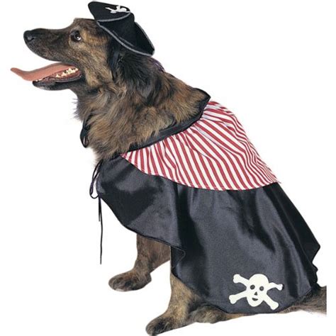 Pirate Dog Halloween Costumes Best Costumes For Halloween