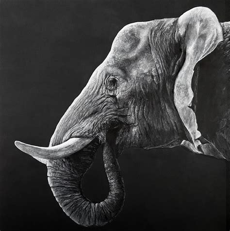 Elephant Head Painting By Paul Hardern Fine Art America