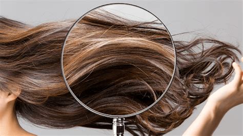 Hair Cuticle Meaning Types And Solution Mamaearth