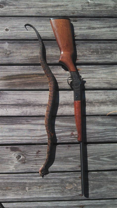 My Favorite Snake Gun New England Firearms Pardner Sbi 20 Gauge Rguns
