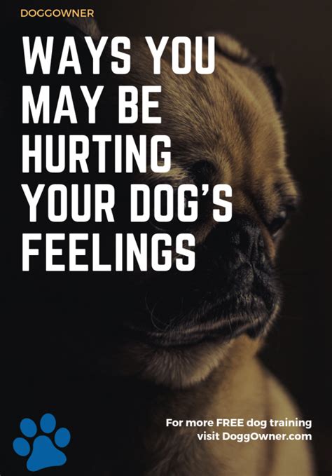 5 Ways You May Be Hurting Your Dogs Feelings Doggowner