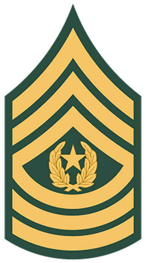 Enlisted Army Ranks Jrotc Rank Structure Enlisted Officer Rank