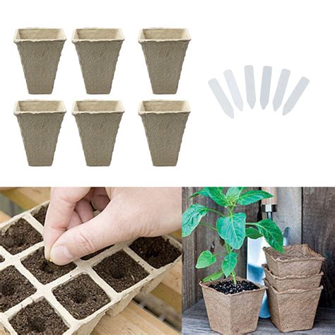 Behogar 50pcs Square Peat Pots Plant Seedling Starters Cups Nursery