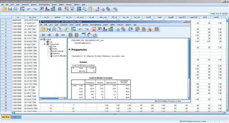 Spss Software Informer Screenshots
