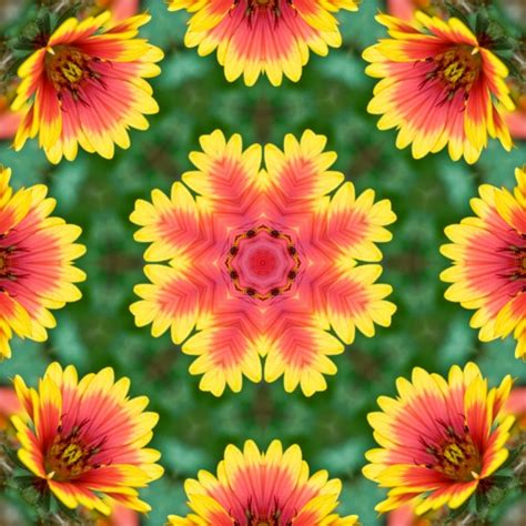 Flower Kaleidoscope 2 Free Stock Photo Public Domain Pictures