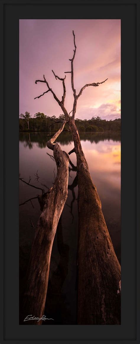 Fallen Brothers Australian Landscape Photography By Edan Raw