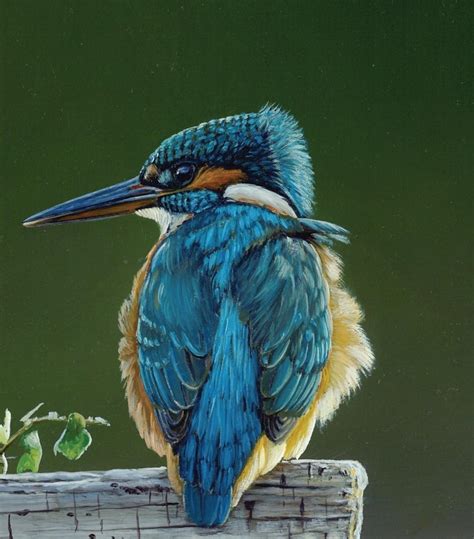 Ben Waddams Contemporary Realist Wildlife Bird Oil Painting