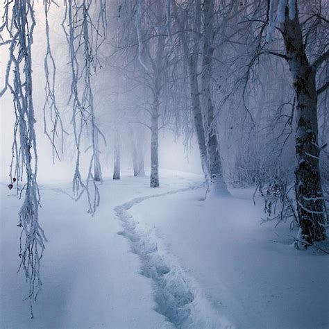 Winter Wonderland Winter Szenen Winter Love Winter Magic Winter