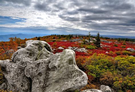Discover West Virginia Dolly Sods An Island In The Sky