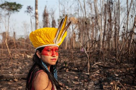 Os Povos Indígenas E Sua Importância No Brasil Redação Livros
