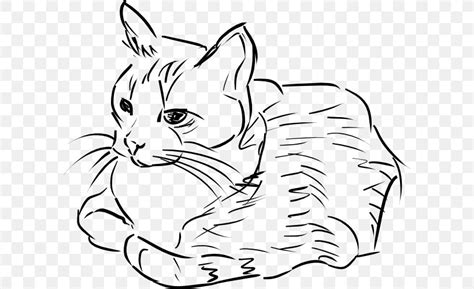 Line Drawing Of Cat
