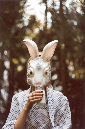 66 Best The Human Bunny Images On Pinterest Bunnies Rabbits And