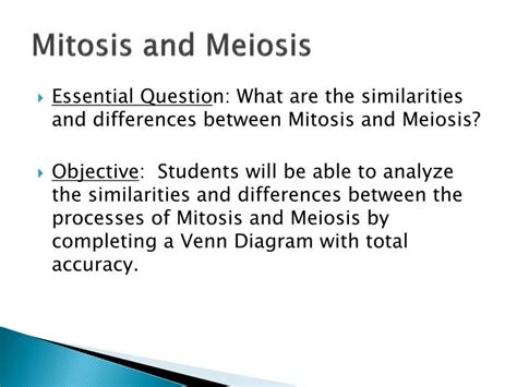 Ppt Mitosis And Meiosis Powerpoint Presentation Free Download Id