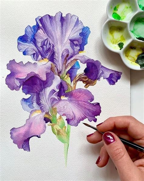 Watercolor Art On Instagram Selected By Yulianna Do Art By Anna M Bucci