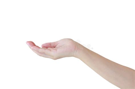 Open A Woman S Hand Palm Up Isolated On White Stock Photo Image Of