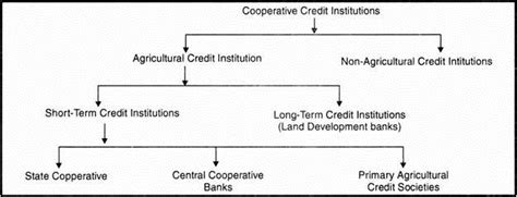 Cooperative Banking In India History Structure Importance And Weaknesses