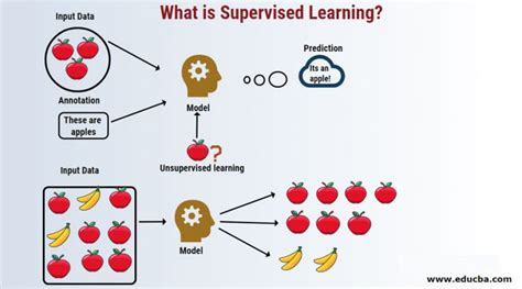 What Is Supervised Learning Concise Guide To Supervised Learning