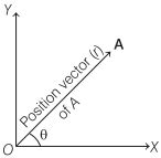 Types of Vectors and Their Definitions in Physics – Scalars and Vectors