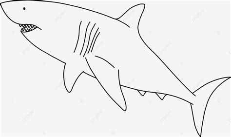 Top với hơn 63 về tranh tô màu con cá mập mới nhất goldenskill