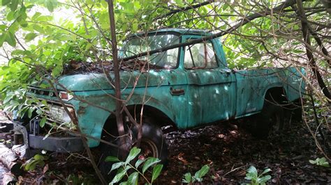 Truck In Bushes Ford Truck Enthusiasts Forums