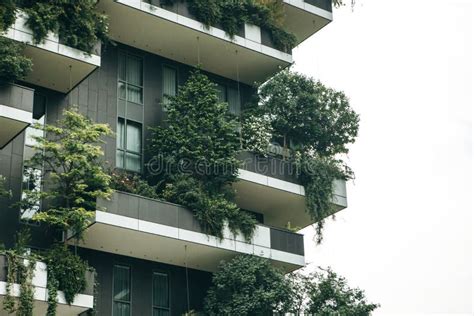 Trees Grow On The Balconies Stock Image Image Of Italian Hotel