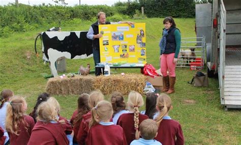 Glamorgan Primary School Kids Get First Class Lesson In Farming