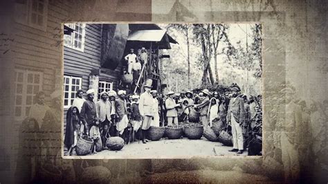 History Of Ceylon Tea Youtube