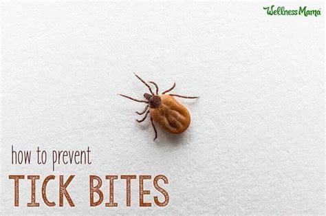 Tick Bites Prevention And Safe Removal