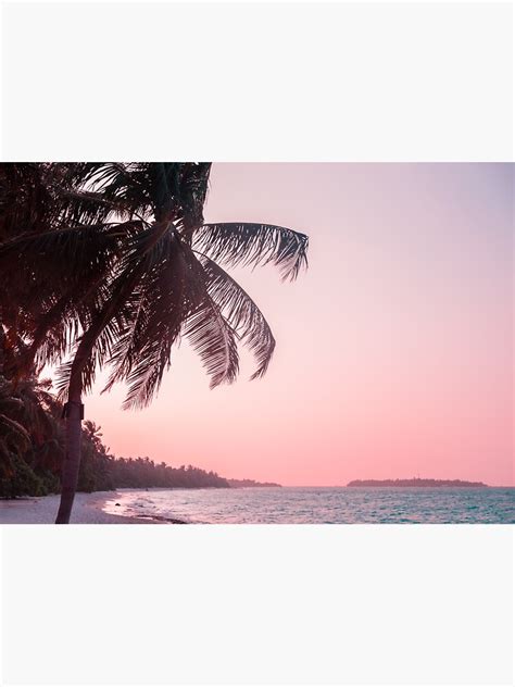 Pink Sky Sunset Palm Trees Beach Sticker For Sale By Newburyboutique