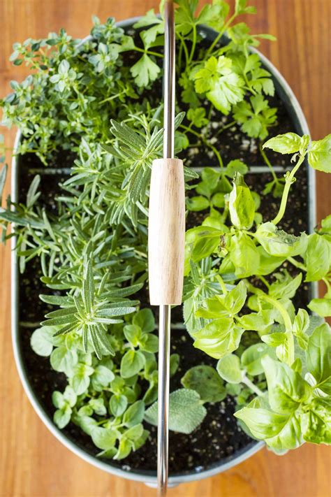 Easy Indoor Herb Garden Simple 10 Minute Diy Project With Images Herb Garden In Kitchen