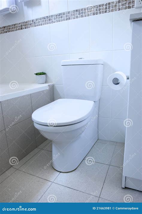 卫生间洗手间 库存图片 图片 包括有 现代 铺磁砖 洗手间 瓷器 休息室 瓦片 纸张 浴室