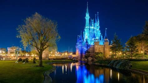 With the best free zoom backgrounds, turn your video meeting into a visual party. Free Disney Zoom Backgrounds & Wallpapers - Disney Tourist ...