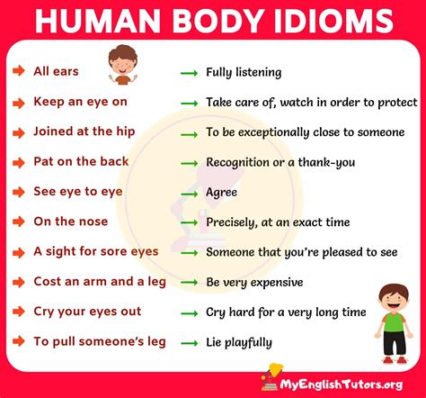 Interesting Idioms With Body Parts In English My English Tutors