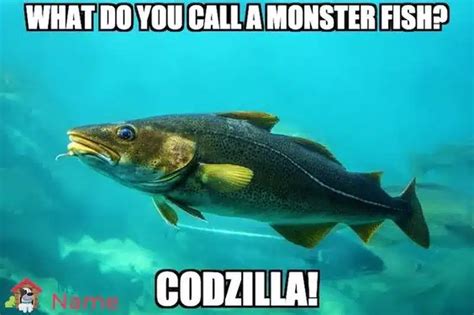 30 Hilarious Fish Memes That Would Have You In Cracked Up