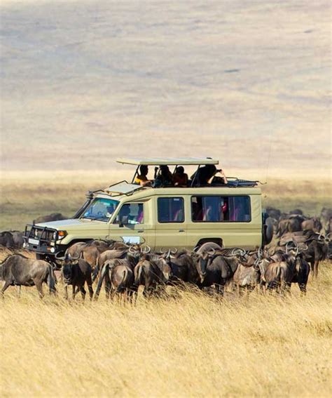 3 Days Serengeti National Park And Ngorongoro Safari