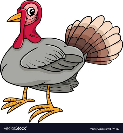 Turkey Farm Bird Cartoon Royalty Free Vector Image