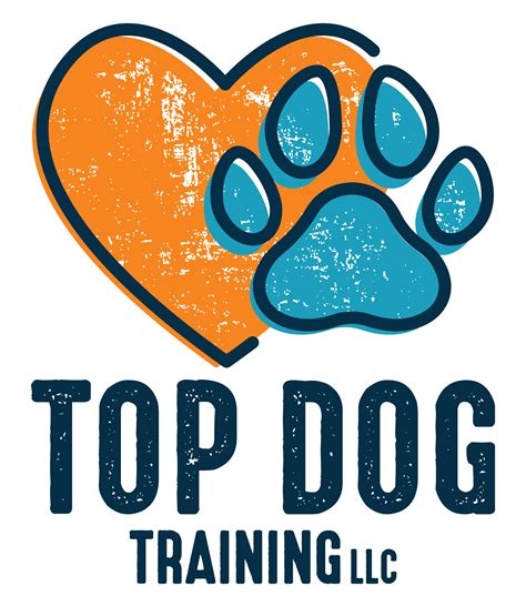 In Home Dog Training Top Dog Training