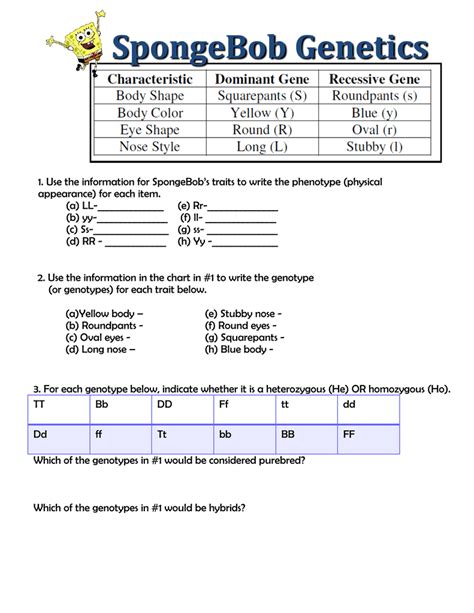 Use the information provided and your knowledge of genetics to answer each question. Spongebob Worksheet For Biology - Promotiontablecovers