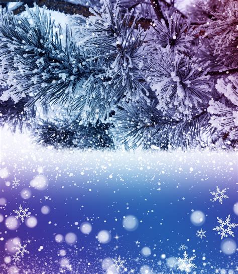 Christmas Background Free Stock Photo Public Domain Pictures