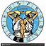 Gemini Astrological Zodiac Sign — Stock Vector © Insima 163795530