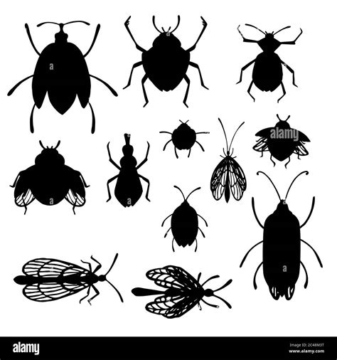 Cartoon Insects Black And White