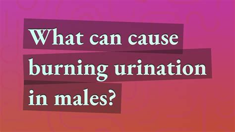 What Can Cause Burning Urination In Males Youtube